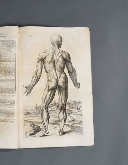Anatomy book 