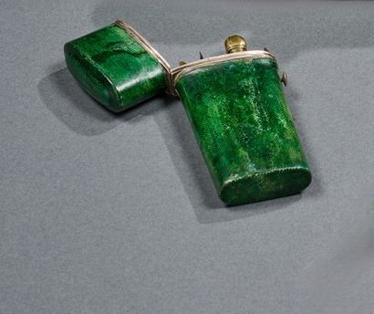 Shark shagreen mathematician's or cartographer's...