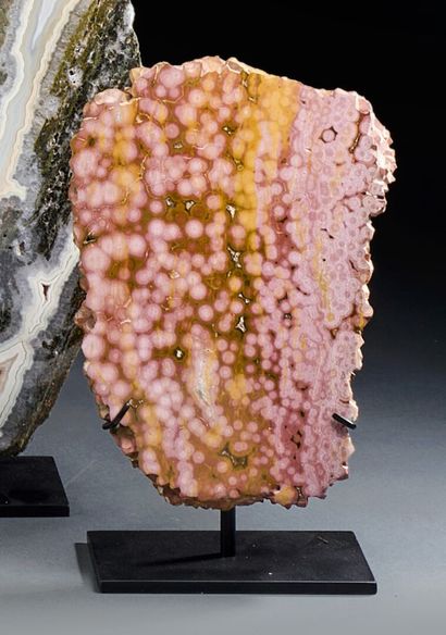Surprising pink orbicular jasper slice
The...