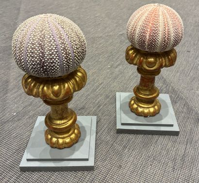 Pair of sea urchin tests mounted in the 17th...