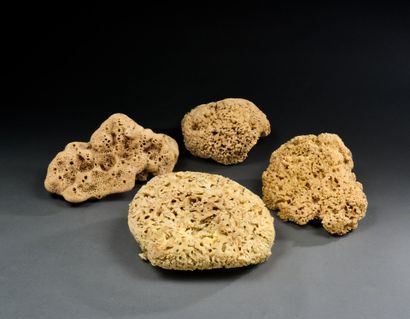 Set of four natural sponges
L. 21 to 13 ...
