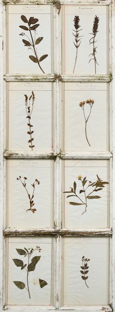 Set of four door panels, each with eight...