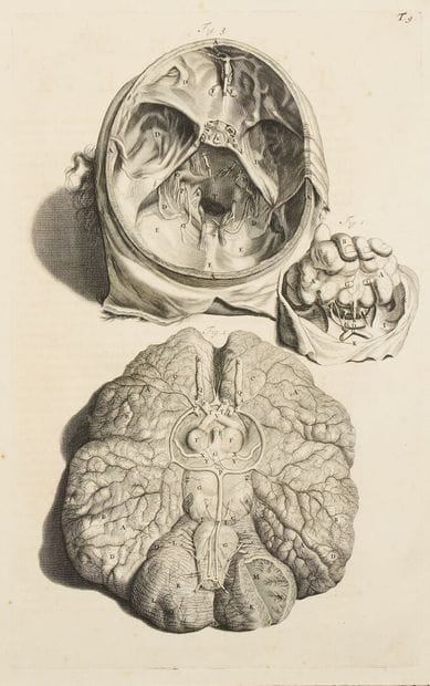 G. de LAIRESSE (1641-1711), after
Set of...