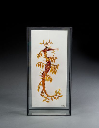 William GEFFROY (21st century)
Leaf or dragon...