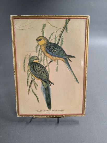 A collection of engravings and reproductions,...