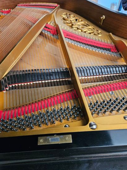 PLEYEL. 
