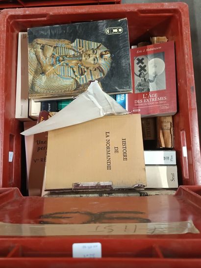 Set of two boxes of history books