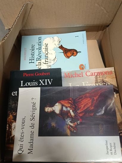Set of three boxes of history books