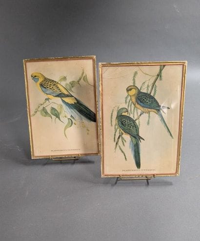 A collection of engravings and reproductions,...