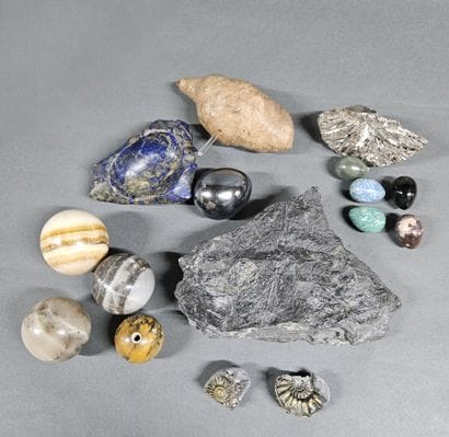 Collection of minerals and fossils