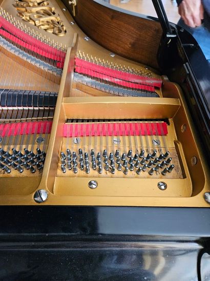 PLEYEL. 
