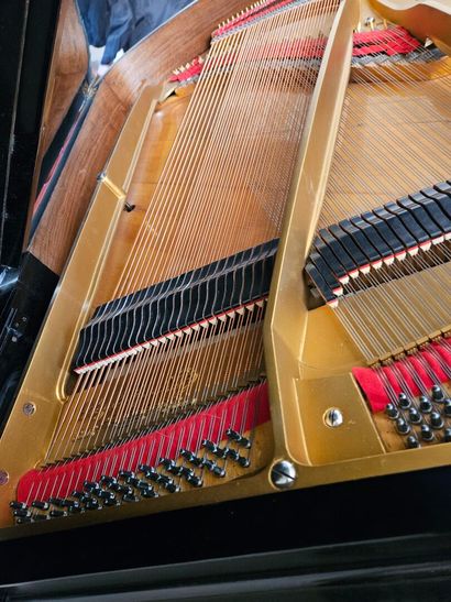 PLEYEL. 
