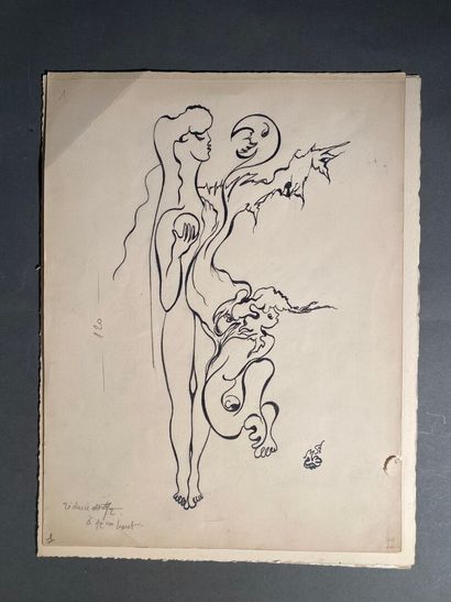A collection of engravings and reproductions,...