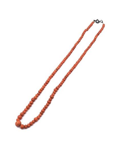 COLLIER 
Corail en chute, fermoir métal