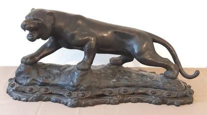 BRONZE 
à patine brune représentant un tigre...