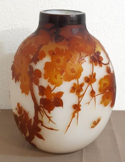 Emile GALLE (1846-1904)
Vase carré côtés...