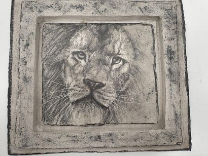 MEGALO - Travail XXIème
Dessin au crayon...