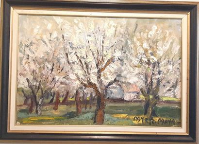 Myrto MAYA 
Les amandiers en fleurs 
Huile...