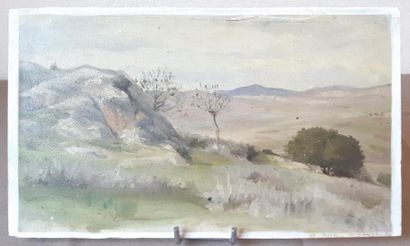 GUION
HUILE sur carton 
représentant un paysage...