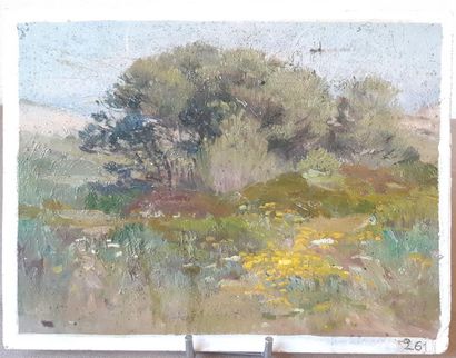 GUION
HUILE sur panneau 
Dans les dunes d'Hussein...