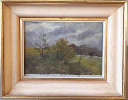 HUILE sur carton 
représentant un paysage...