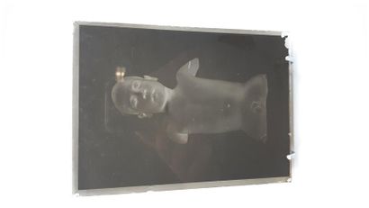 Lot contenant des plaques photographiques...