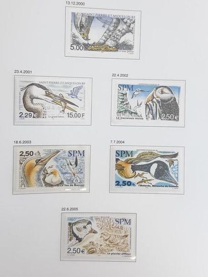 COLLECTION of Saint pierre et miquelon in...