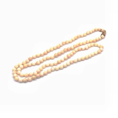 COLLIER corail, fermoir en or jaune 750°