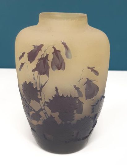 Etablissement GALLE
Vase ovoïde en verre...