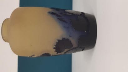 Etablissement GALLE
Vase ovoïde en verre...
