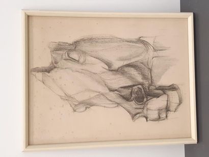 DESSIN 
au crayon représentant tête de cheval
Dim...