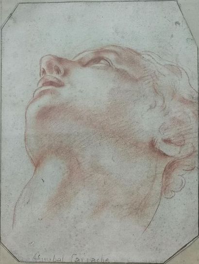 17th CENTURY ITALIAN SCHOOL
Young man's head...