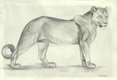 Henri WACQUIEZ (1907-?)
La Lionne
Preparatory...
