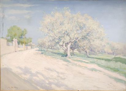 Max BOTTARY (XX)
Chemin aux Amandiers 
Oil...