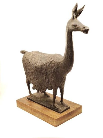 HECHT Joseph (1891 1951)
Lama
Bronze with...