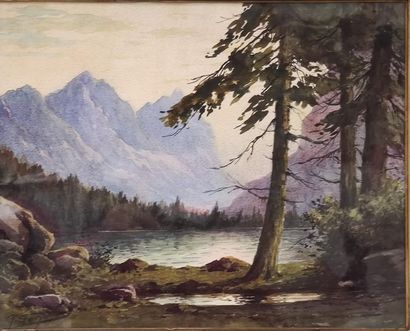 WORK OF THE XXth CENTURY 
Alpine landscapes...