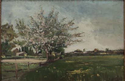 Les Amandiers en fleurs
Oil on panel 
In...