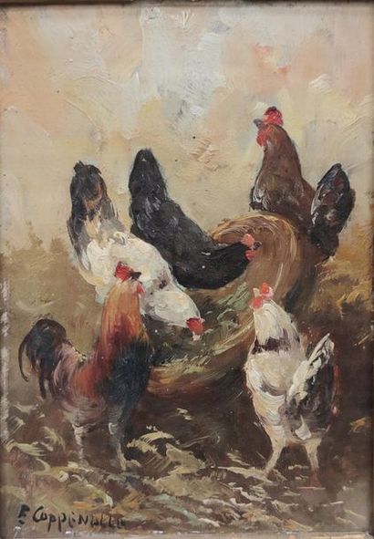 Jacques Etienne Maurice VAN COPPENOLLE
Rooster...