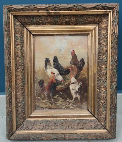 Jacques Etienne Maurice VAN COPPENOLLE
Rooster...