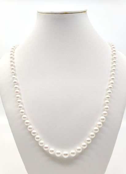 NECKLACE of Akoya cultured pearls from 4...