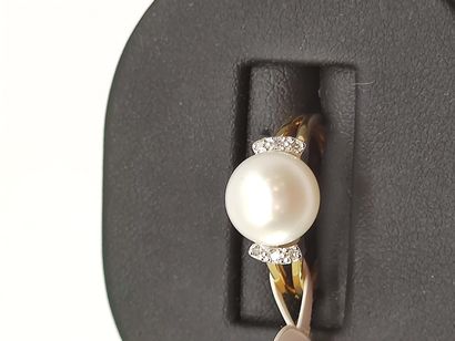 BIJOU NEUF

Bague en or deux tons 750° ornée...