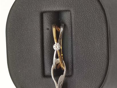BIJOU NEUF

BAGUE en or deux tons 750° ornée...