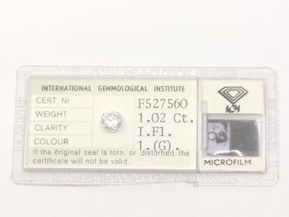 DIAMANT 1,02 CT COULEUR G IF

Certificat...