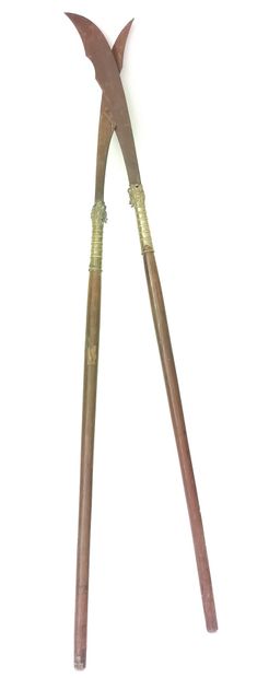PAIR OF INLAID BRONZE WOOD AND STEEL SPEARS,...