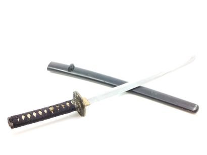 Japanese SABRE type 