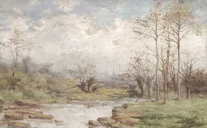Edouard VERCHAFFELT 

Huile sur toile

Paysage...