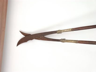 PAIR OF INLAID BRONZE WOOD AND STEEL SPEARS,...