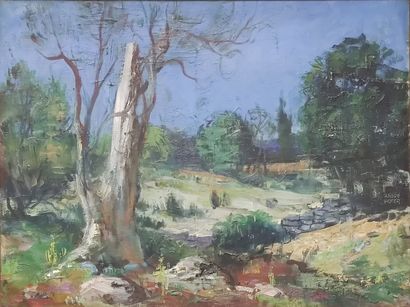 André Hofer

Huile sur isorel encadrée

Sous...