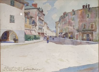 Fortune Louis BOIS

