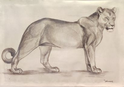 Henri WACQUIEZ (1907-?)

The Lioness

Preparatory...